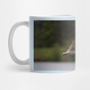 Gull flying in rain Mug